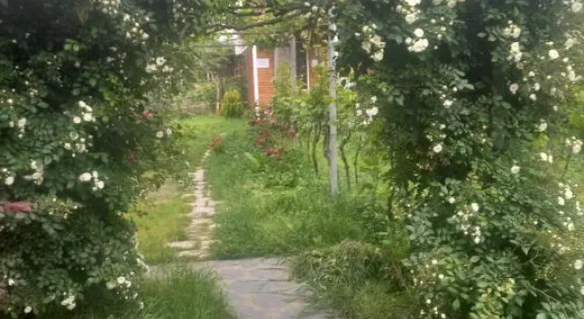 Двухместный номер Standard Cottage and Gigo Papas Wine Cellar