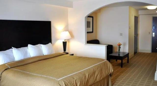 Двухместный люкс Deluxe Best Western Plus Kalamazoo Suites