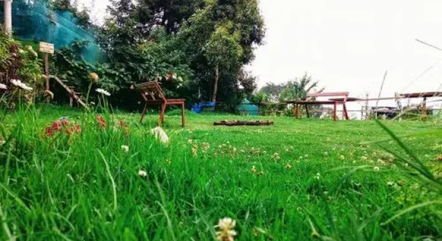 The Kodai Heaven