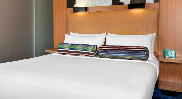 Двухместный номер Standard Aloft by Marriott Nashville Franklin