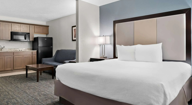Двухместный номер Standard Best Western Plus Flint Airport Inn & Suites
