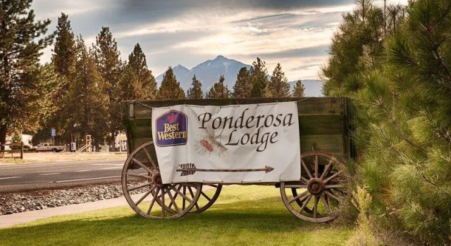 Четырёхместный номер Standard Best Western Ponderosa Lodge