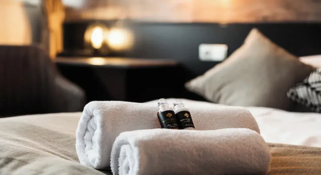 Номер Deluxe Interhotel Tatra