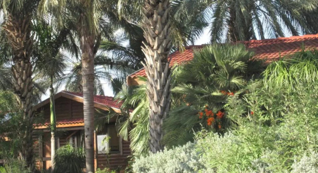 Suite doppia Naomi's B&B