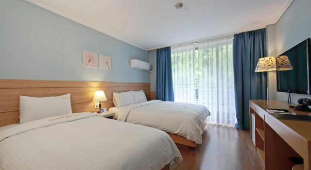 Двухместный номер Standard Benikea Swiss Rosen Hotel