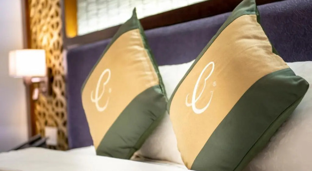 Двухместный номер Standard Conifer Grand Hotel