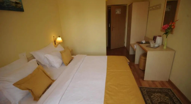 Номер Standard Hotel Valul Magic