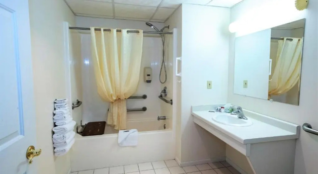 Четырёхместный номер Standard Mountain Host Motor Inn