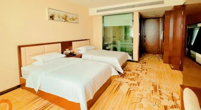 Люкс Deluxe Jin Yuan International Hotel