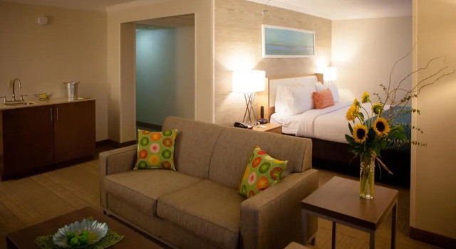 Люкс Holiday Inn Greenville by IHG