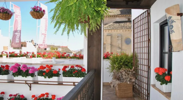 Апартаменты Suites La Posada De Pilar