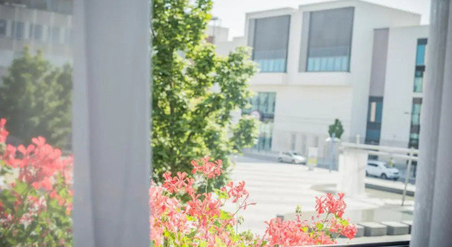 Одноместный номер Standard City-Hotel garni