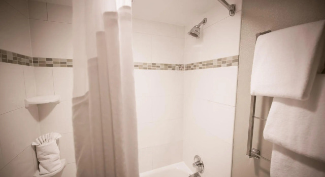 Двухместный номер Standard Holiday Inn Raleigh Dowtown - Capital