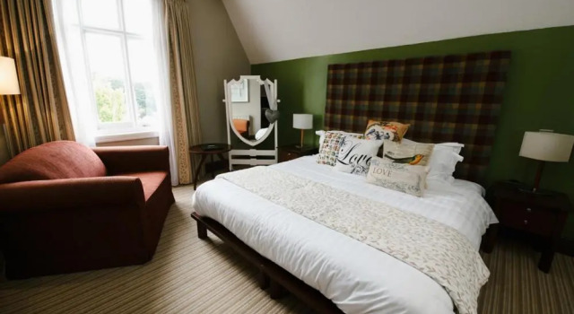 Номер Standard Forest Hotel