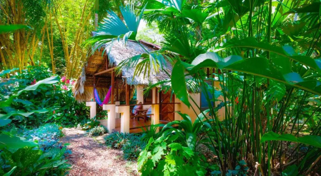 Бунгало Caribe Town Bungalows