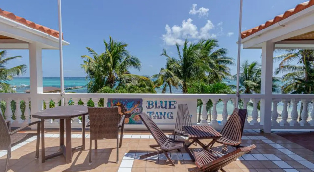 Номер Superior Blue Tang Inn - Beachfront Suites and Pool