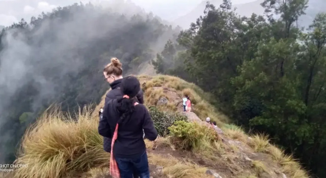 Munnar Jungle Camp, Забронировать Отель Недорогие отели штата Кералы, недорого