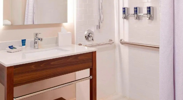 Двухместный номер Standard Four Points by Sheraton Detroit Novi