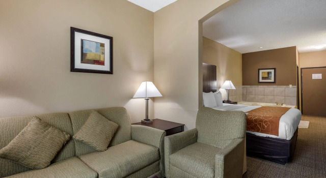 Двухместный номер Standard Comfort Suites The Colony - Plano West
