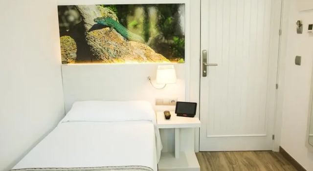 Одноместный номер Standard с балконом Hotel Rosales Formentera