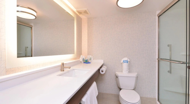 Двухместный номер Standard Holiday Inn Express & Suites Indianapolis Dtn-Conv Ctr Area by IHG