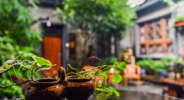 The Courtyard Suzhou Inn, Забронировать Отель Сучжоу Китай, рядом с Сад Скромного чиновника