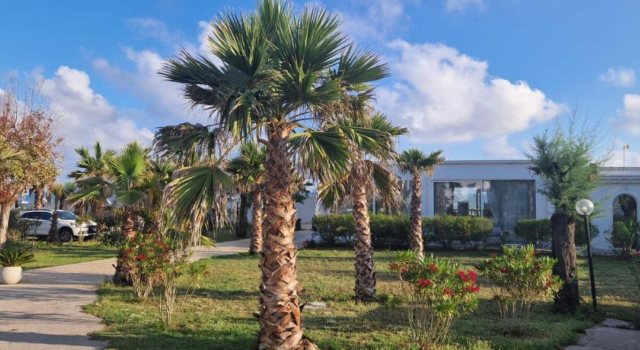Hotel Corona, Book Hotel Peschici Foresta Umbra