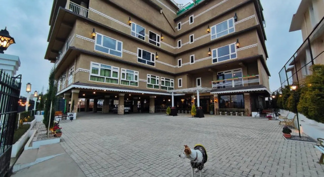 Hotel Acropolis