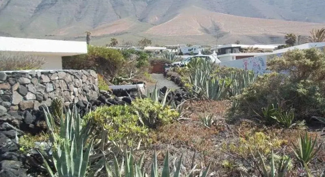 Bingbang, Reservar Hotel Teguise 