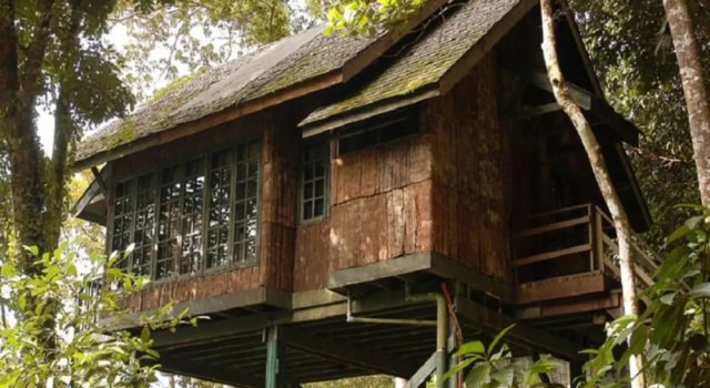 Коттедж Permai Rainforest Resort