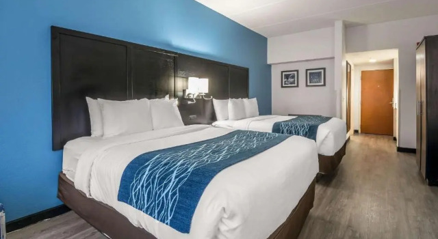 Номер Superior Comfort Inn Gainesville - University Area