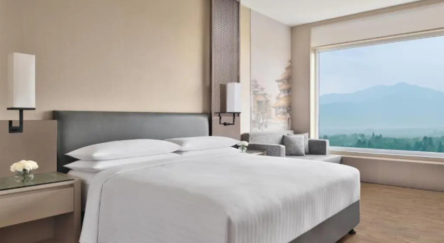 Двухместный номер Club с видом на горы Kathmandu Marriott Hotel