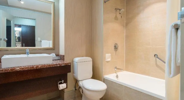 Двухместный номер Superior Distinction Hotel Rotorua