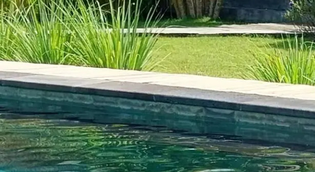 Manusia Dunia Green Lodge, Book Hotel Gili Air 