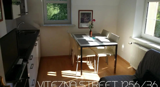 Семейная студия Holiday Apartments Vítězná 1256/36