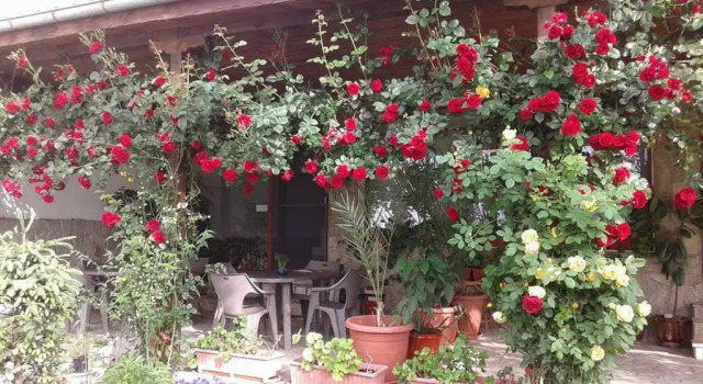 Todorovi Guest House, Book Hotel Billige hoteller i Stara Zagora