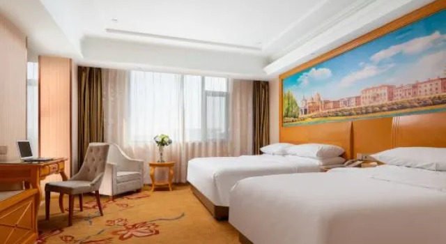 Люкс Deluxe Vienna Hotel (Tianjin Five Avenues Youyi Road Cultural Center Subway Station)