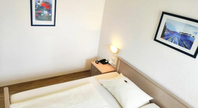 Одноместный номер Standard Hotel Fantasie