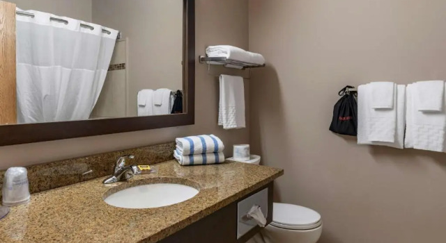 Люкс c 1 комнатой Best Western Plus Bridgewater Hotel & Convention Centre
