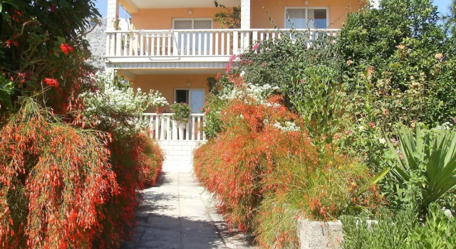 Studios Antonio