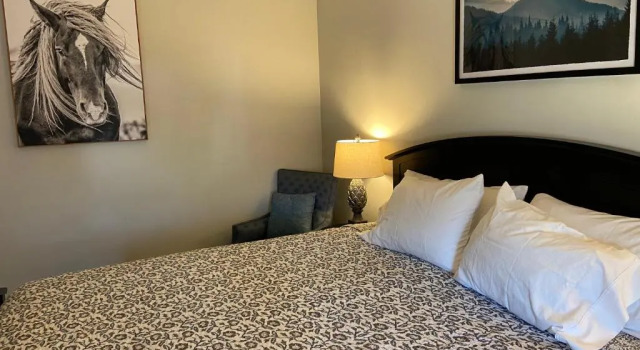 Номер Superior Franconia Inn