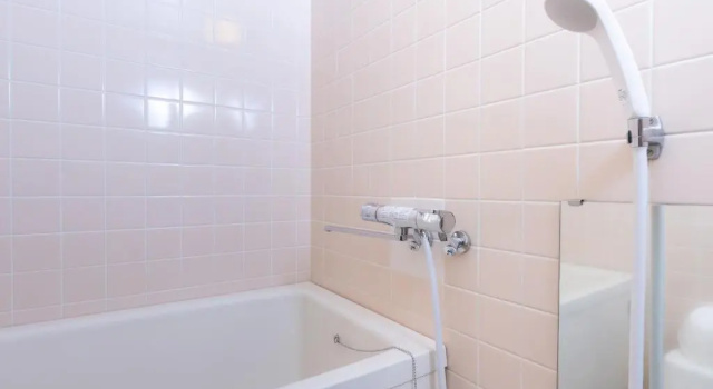 Двухместный номер Standard Hotel WWJ
