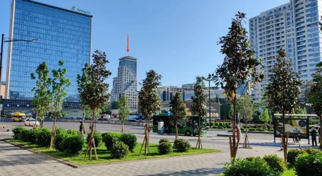 Tbilisi App 3