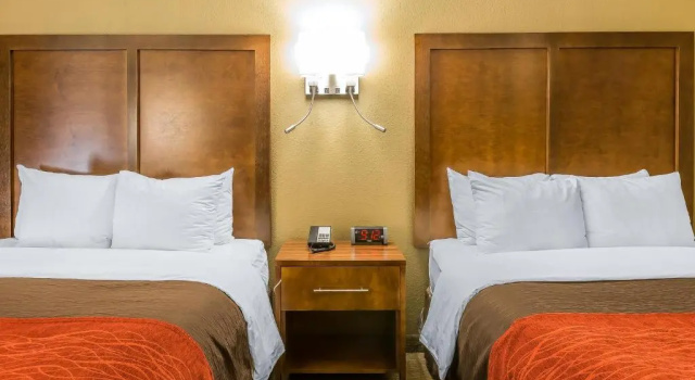 Номер Standard Comfort Inn & Suites Dalton West