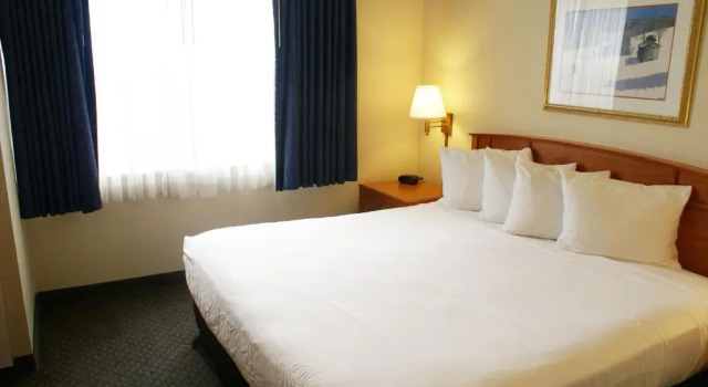 Двухместный люкс c 1 комнатой Country Inn & Suites by Radisson, Lansing, MI