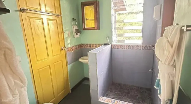 Люкс Economy Howler Jungle House
