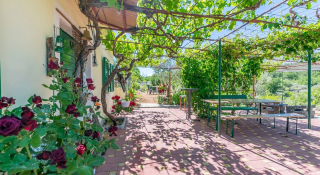 House Green Paradise