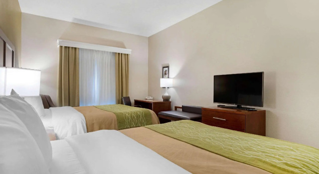 Четырёхместный номер Standard Comfort Inn & Suites Port Arthur-Port Neches