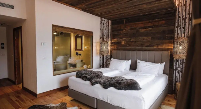 Номер Deluxe HANUL BUCOVINEI