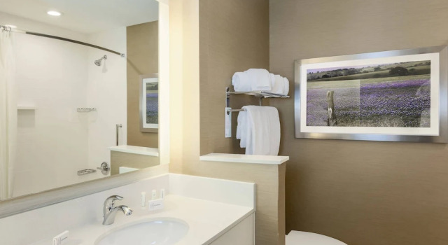 Люкс Fairfield Inn & Suites by Marriott Decatur at Decatur Conference Center